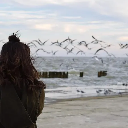 White Pearl 1.14 Timmendorfer Strand